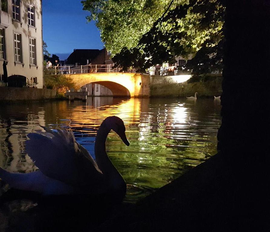 B&B Verdi Brugge Eksteriør billede